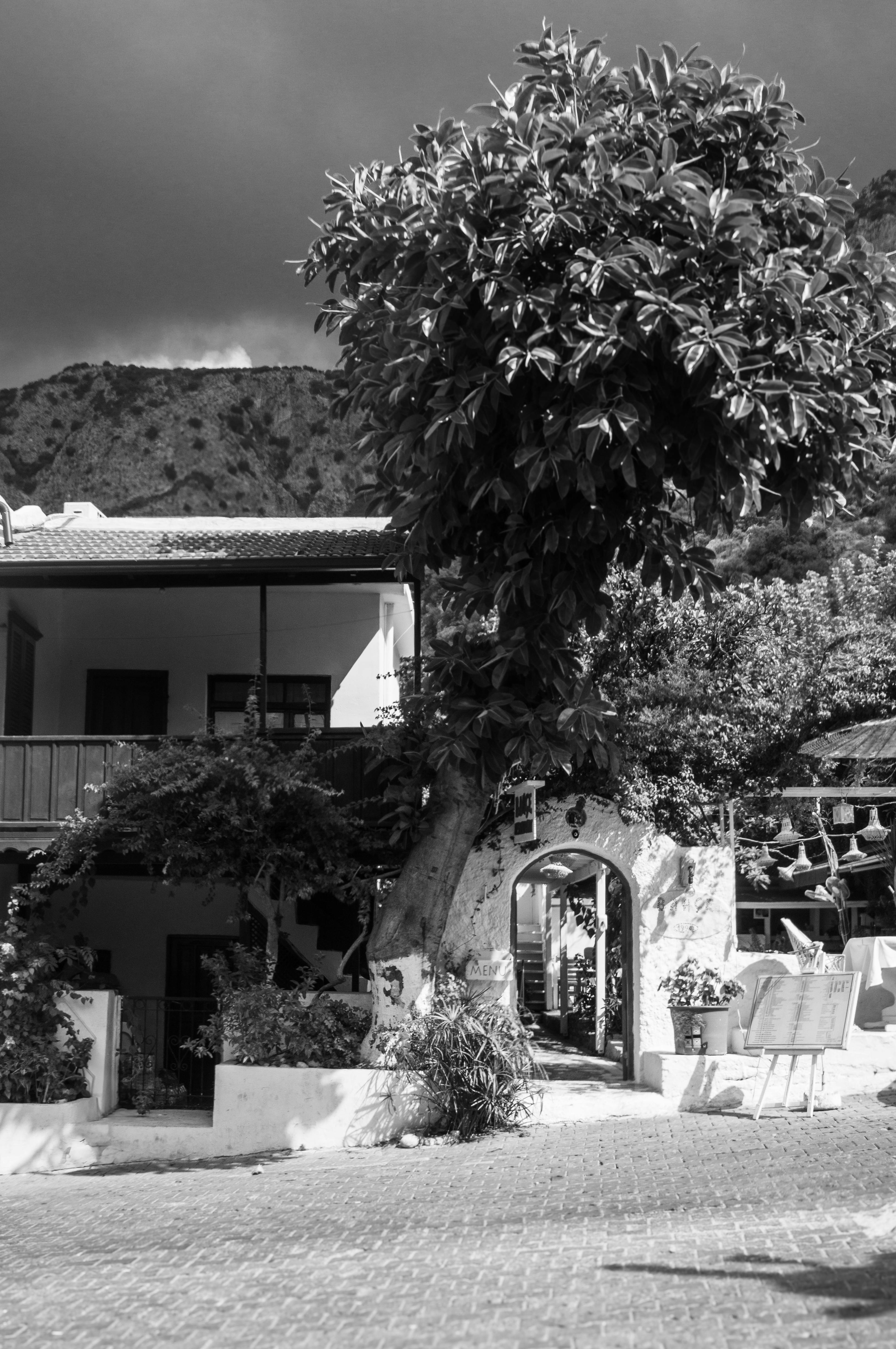 Modern rental property showcase